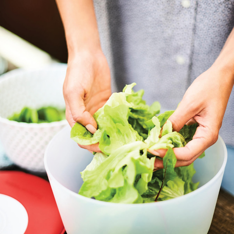 Salatkarussell Salatkarussell - das 3-in-1-Produkt
