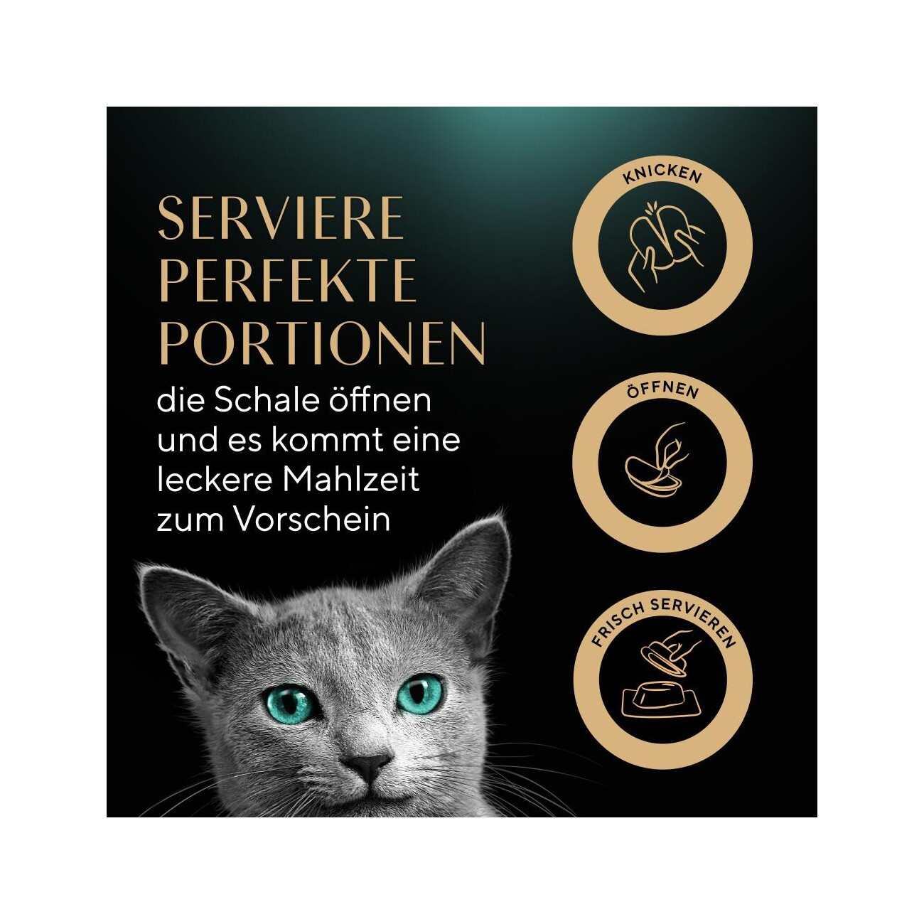 Sheba Perfect Portions Nassfutter Katze, Truthahn in Sauce 6x75 g Truthahn