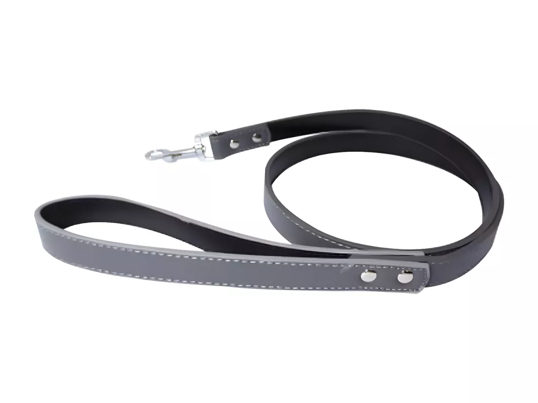 Laisse pour Chien 