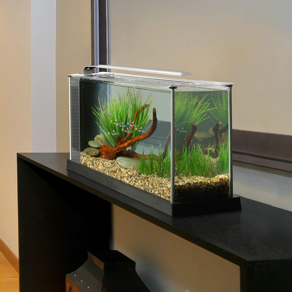 Aquarium spec noir 19l