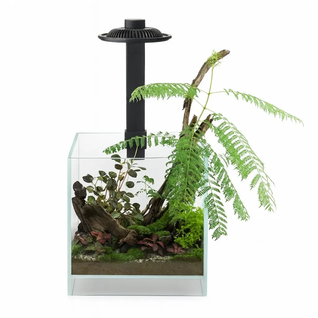 AquastoreXL Wabi Kusa Plantenterrarium LED Zwart