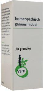 VSM Rhus toxicodendron LM12 4g