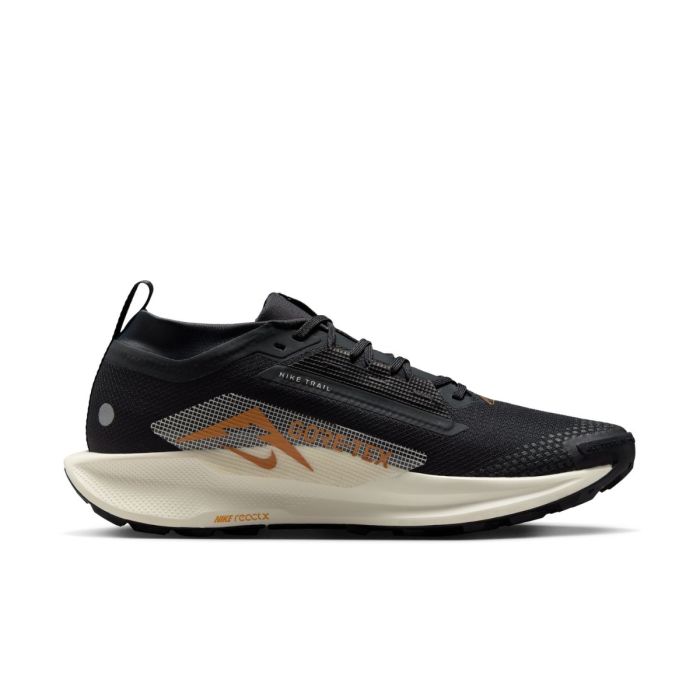Nike Herre Trailsko Pegasus Trail 5 Gore-Tex Sort