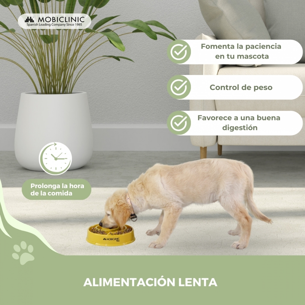Comedouro lento, anti-engolir, antiderrapante, 500ml, espiral, 19,5 x 4,6 x 20,6cm para cães