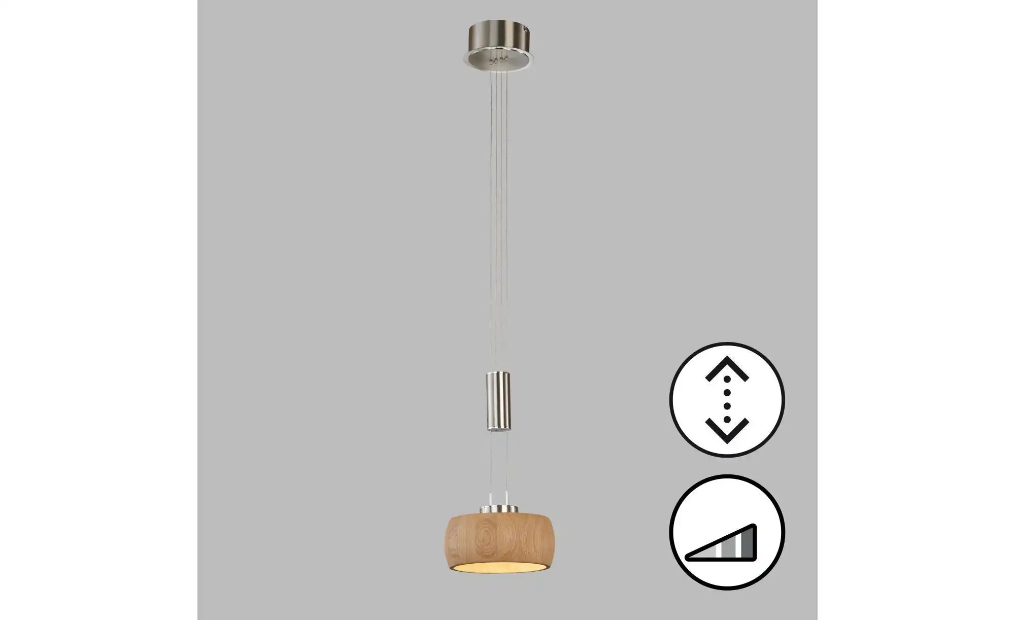 Fischer-Honsel Pendelleuchte