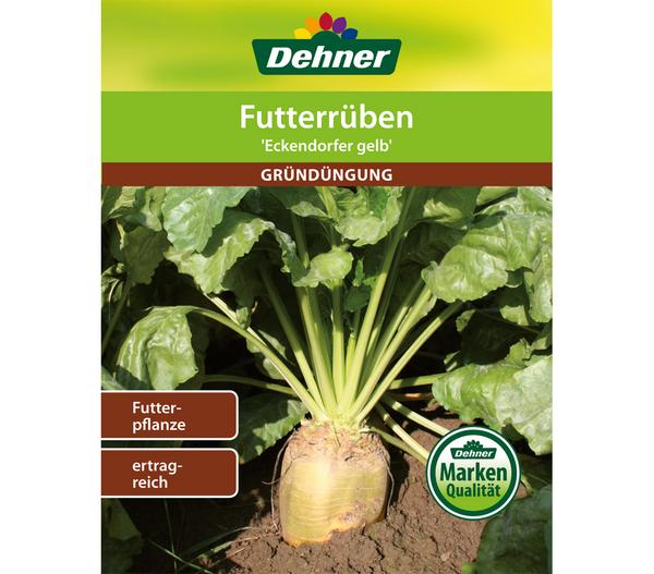Dehner Gründüngung Futterrüben 'Eckdogelb