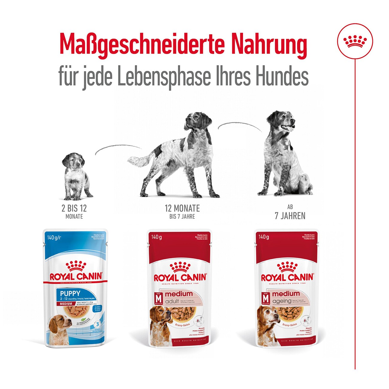 ROYAL CANIN Medium Ageing 10+ in Soße 10x140 g
