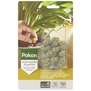 Pokon kamerplanten voedingskegels 10 stuks