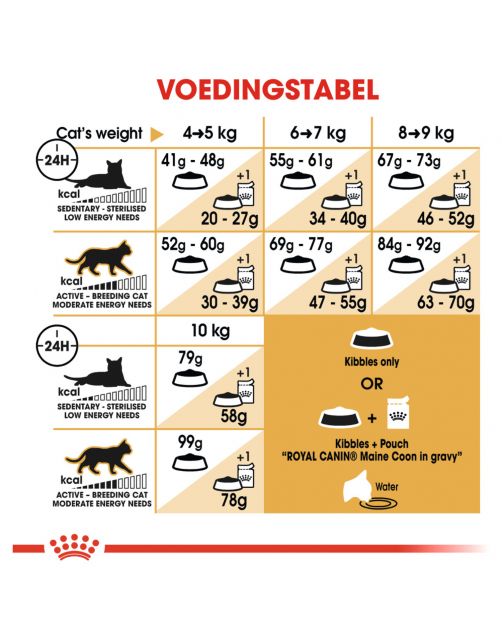Royal Canin Maine Coon Adult - Kattenvoer