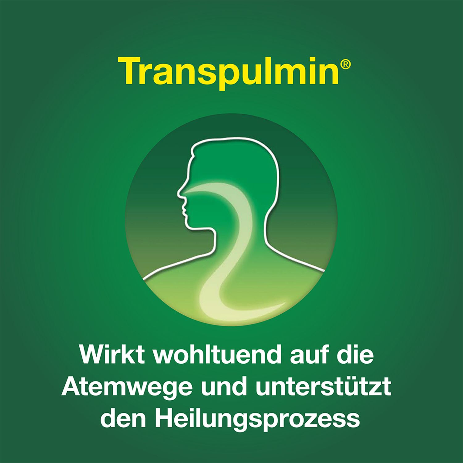 Transpulmin Erkältungsbalsam für Erwachsene: Wohltuender Balsam mit Schleimlöser-Effekt zur Linderung von Erkältung und Husten