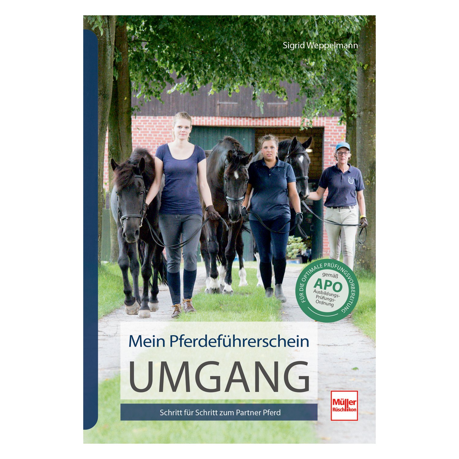 Mein Pferdeführerschein Umgang Schritt für Schritt zum Partner Pferd