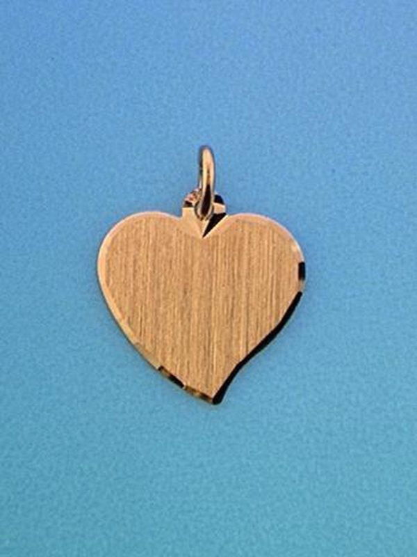 Gouden Hanger - Hart - 14 Karaat - 15mm