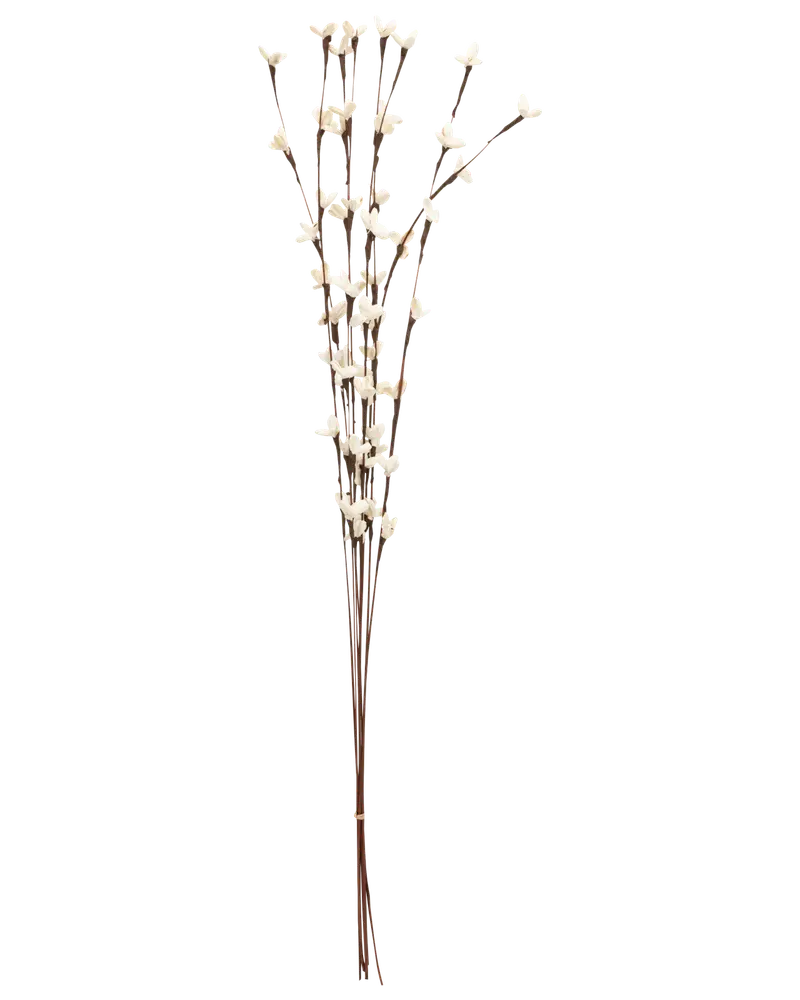 Tørret softwood blomster - assorterede varianter