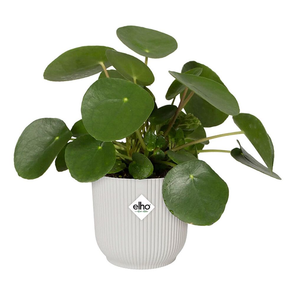 INNEPOTTE ELHO VIBES FOLD ROUND MED HJUL Ø35CM HVIT
