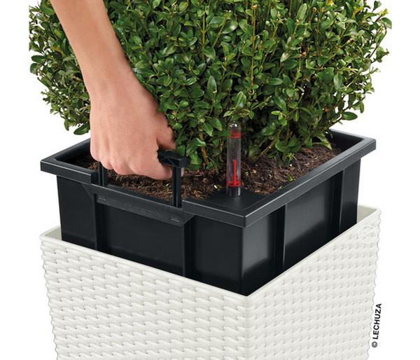 LECHUZA® Kunststoff-Topf Cube Cottage,