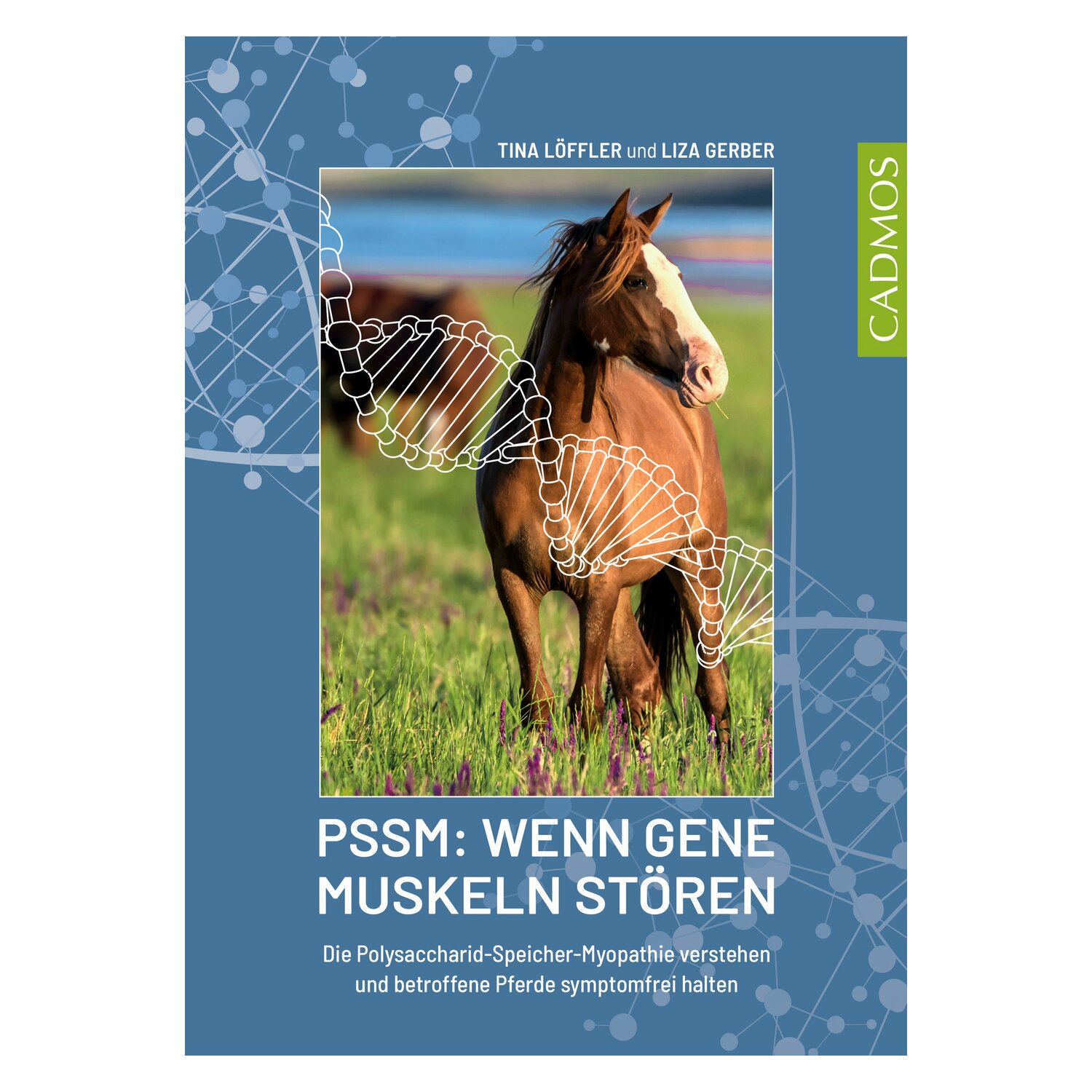 PSSM: Wenn Gene Muskeln stören