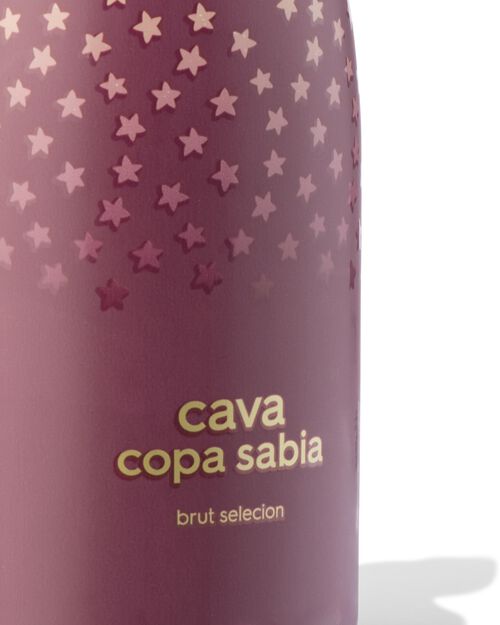 Copa Sabia cava brut mini 0,2 L