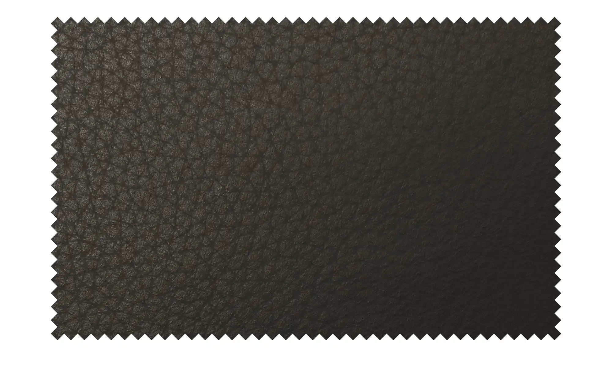 Leder-Schwingstuhl Canto II