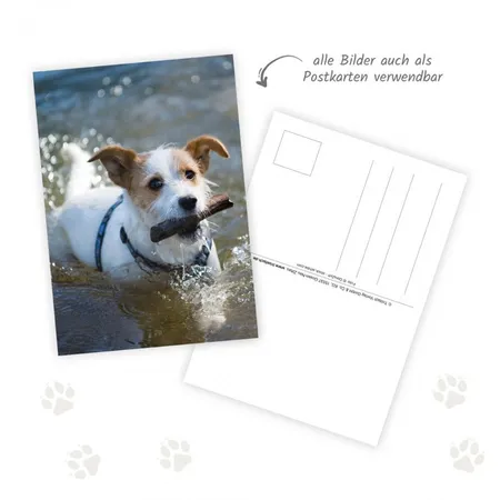 Trötsch Postkartenkalender 