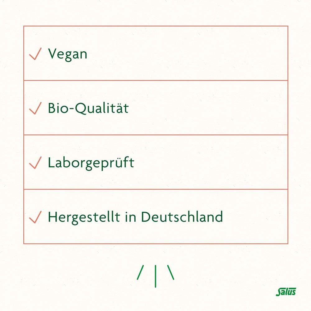 Salus FreeBalance Gerstengras-Birke 10-Kräuter-Elixier