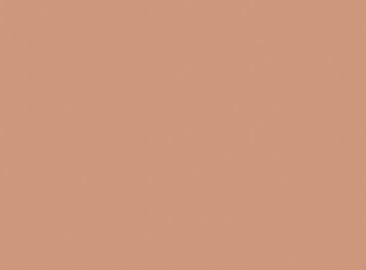 Milani Cosmetics Conceal + Perfect 2-In-1 Foundation + Concealer 08 Light Tan 30ml