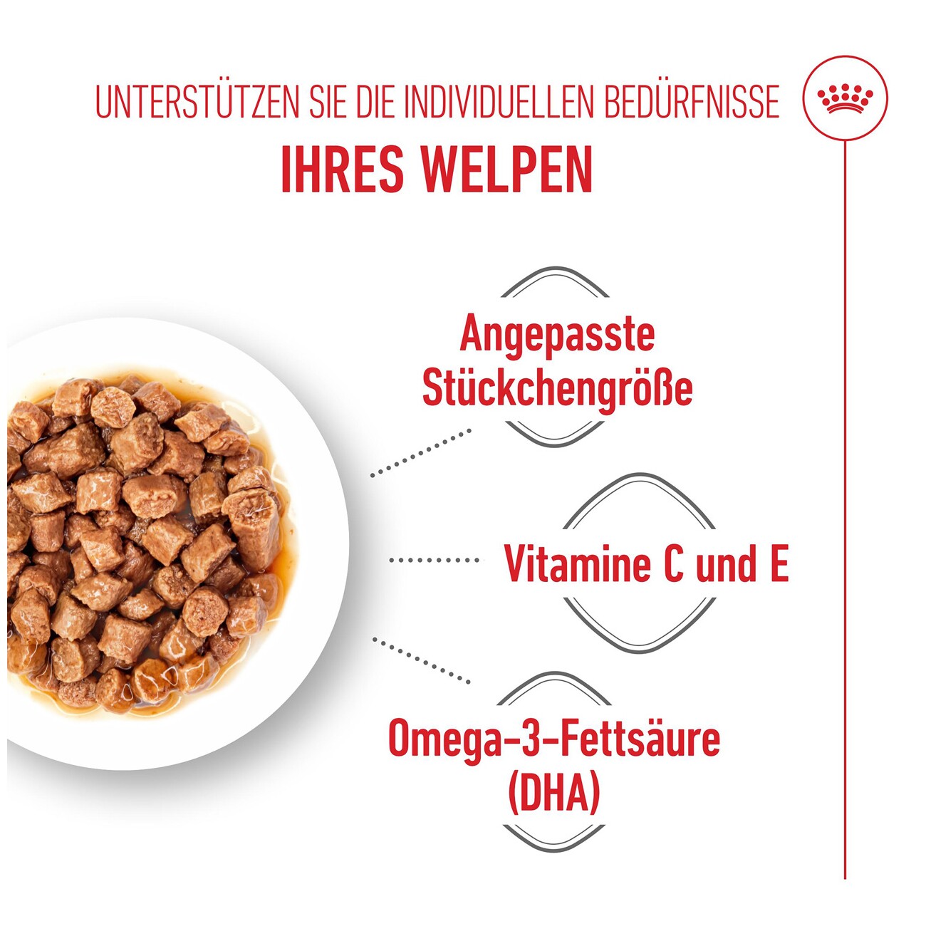 ROYAL CANIN X-Small Puppy in Sauce 12x85 g