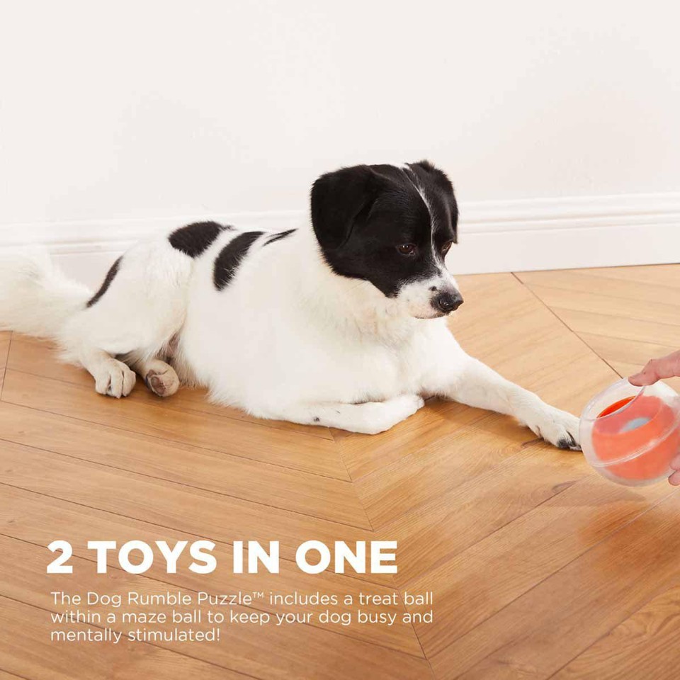 OUTWARD HOUND - Dog Rumble Puzzle Orange