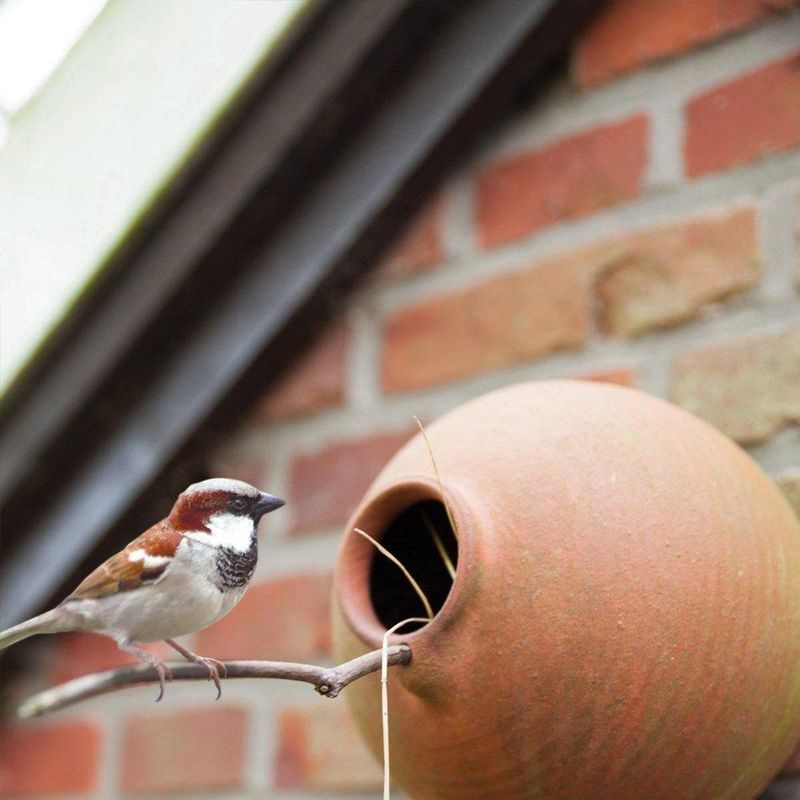 Vogelpot - Rond - Steengoed - Pimpelmees