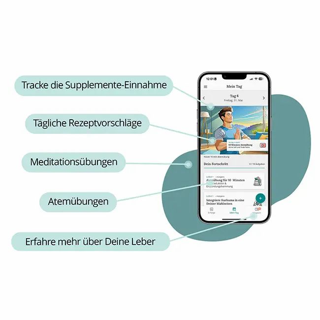 Salufast Leber+ Box - 14-Tage Intensivkur