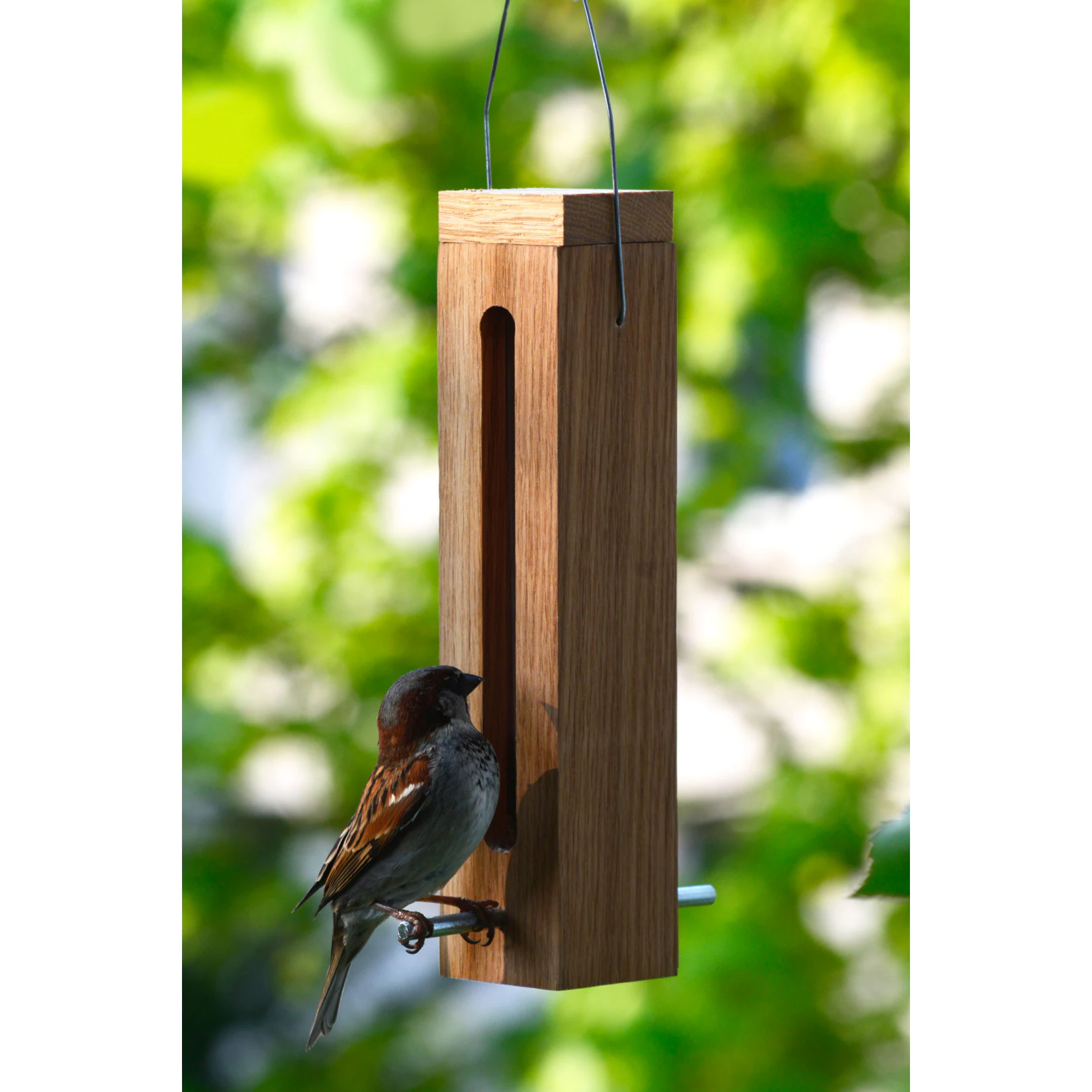 Luxus-Vogelhaus Eichenholz-Futterspender mit Futtersilo und Metallaufhängung