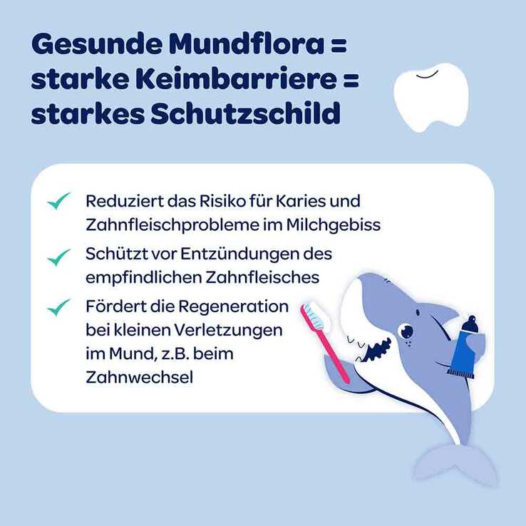 Dentinox Zahncreme Mundflora Kids, 75 ml