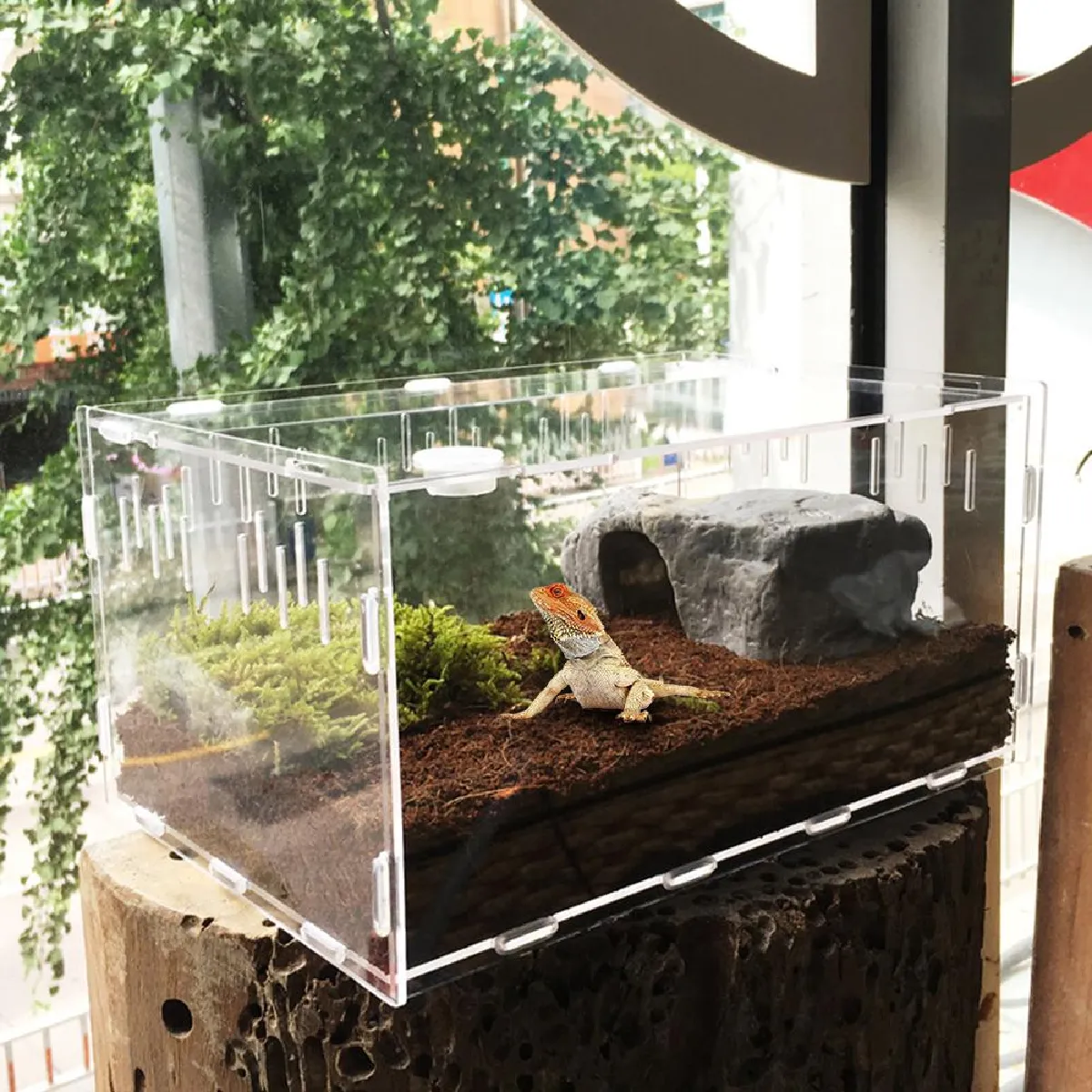 Universal Vitrine Acrylique Reptiles