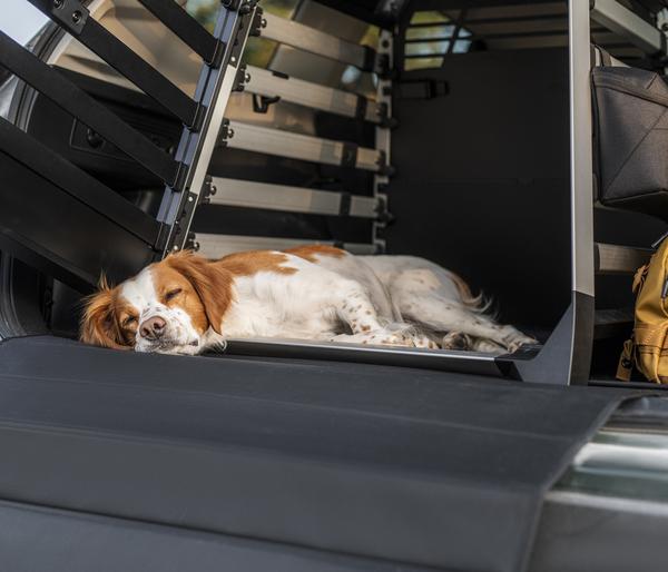 THULE® Allax XXL Hundetransportbox, ca.