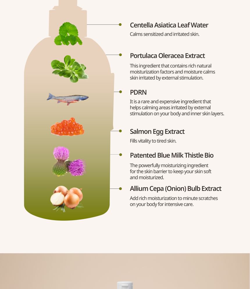 HEVEBLUE - Zalm Fruitige Centella Body Reisset