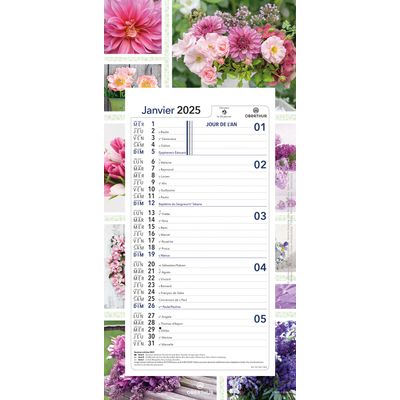 Calendrier mensuel en papier sur plaque nova - 16 x 33 cm - différents modèles disponibles - Oberthur
