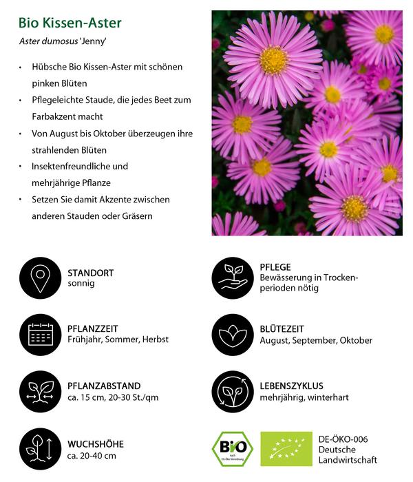 Bio Stauden-Set Alte Liebe, Landlust
