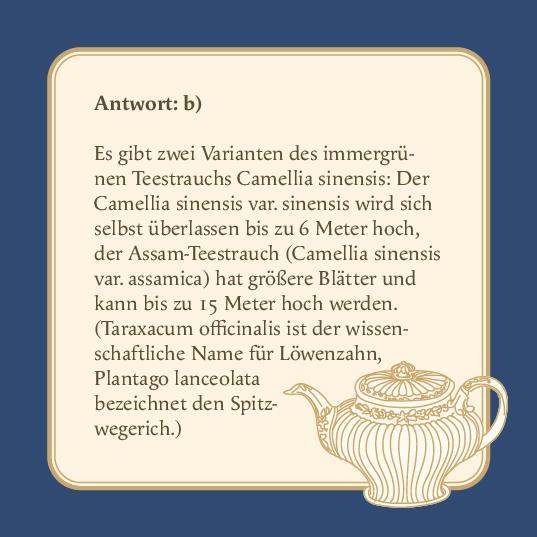 Das Tee-Quiz