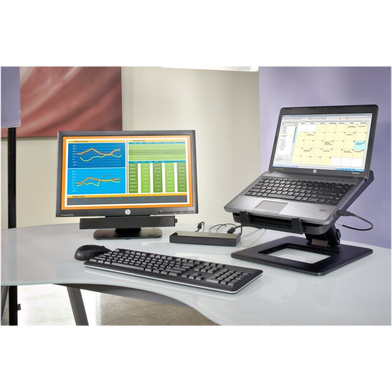 HP Câble USB-C vers USB-C 100 W (station d’accueil/de charge écran Z)