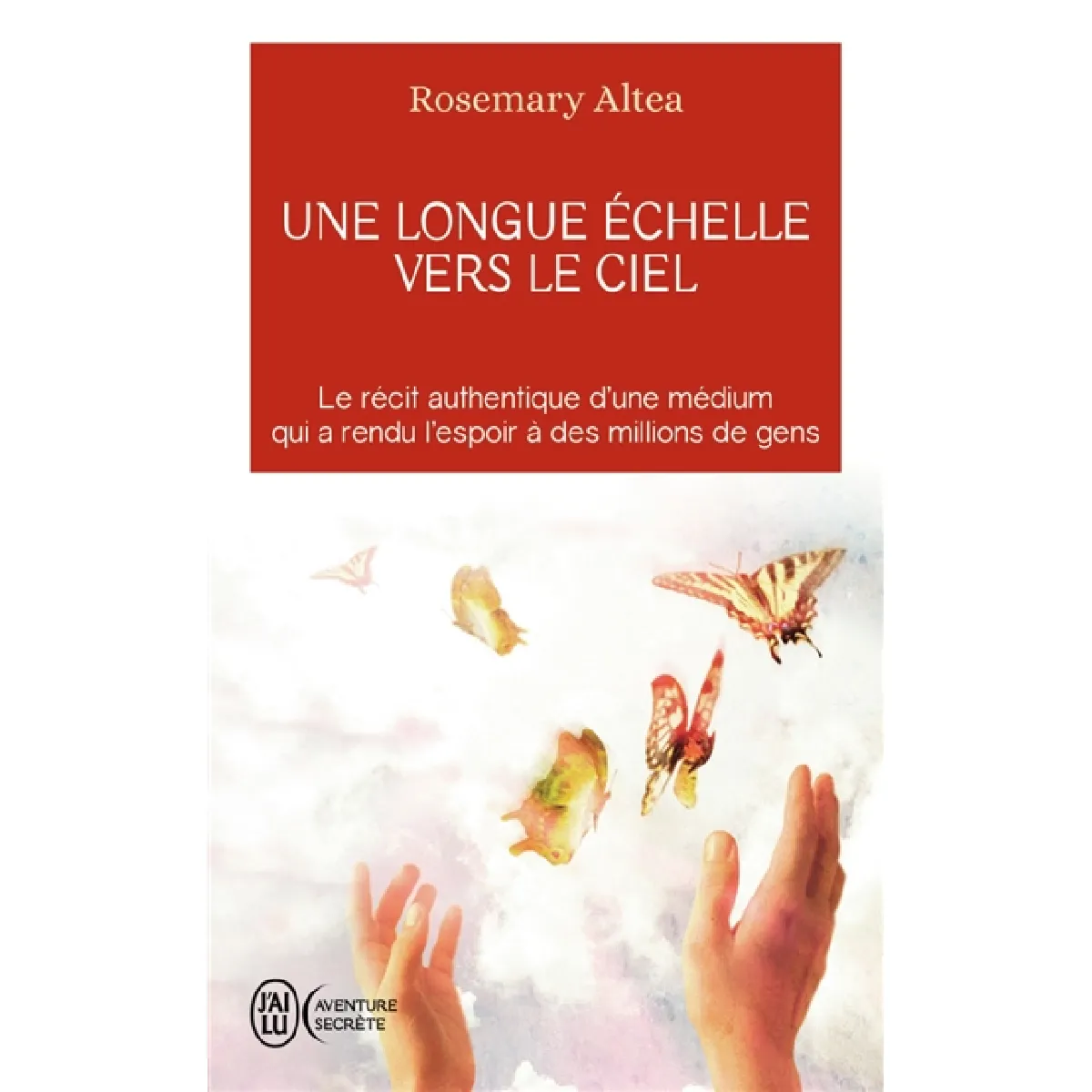 Une longue échelle vers le ciel · Occasion