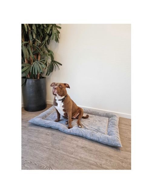 Adori Benchmat Oriana - Hondenbenchkussen - 120x74 cm Grijs