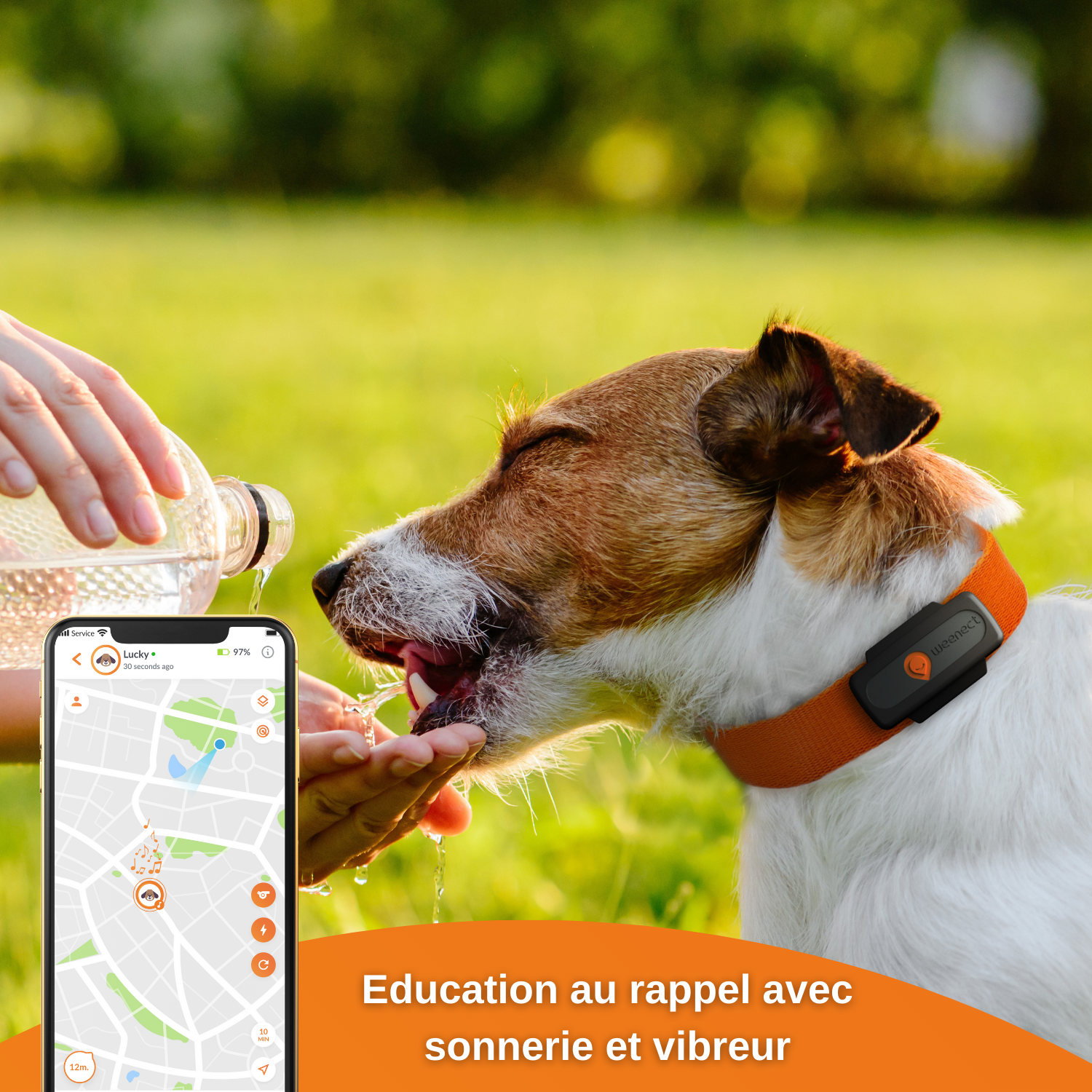 XS - collier gps pour chien ( black edition 2023)