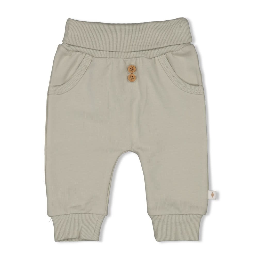 Feetje Feetje broek - Elephant mint