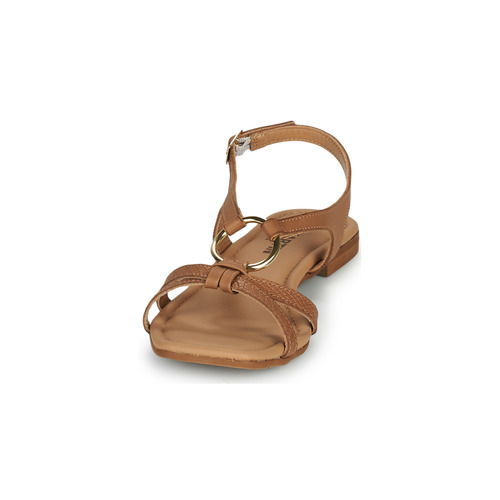 JB Martin - ALGUE - VEAU TEJUS CAMEL