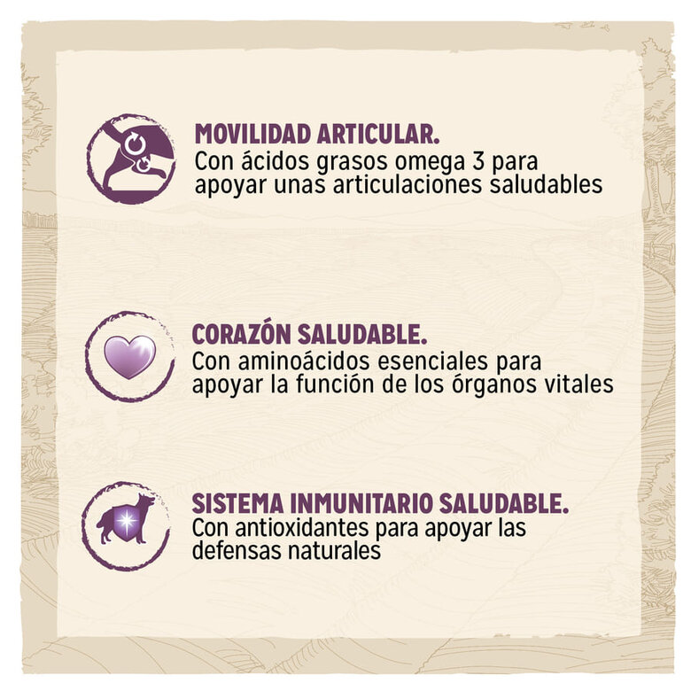 Ração para cães Dog Chow Mature Senior com frango