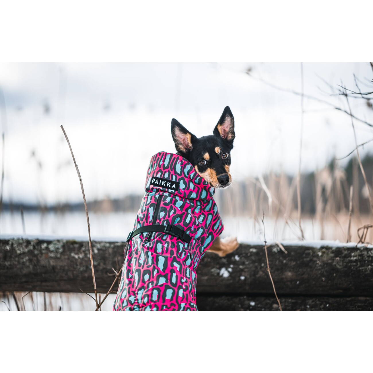 Paikka Visibility Winter Jacket jungle 20 cm