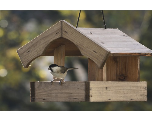 Voederhuisje met voederveranda inclusief koord, 25,5x26,5x22 cm, gelakt