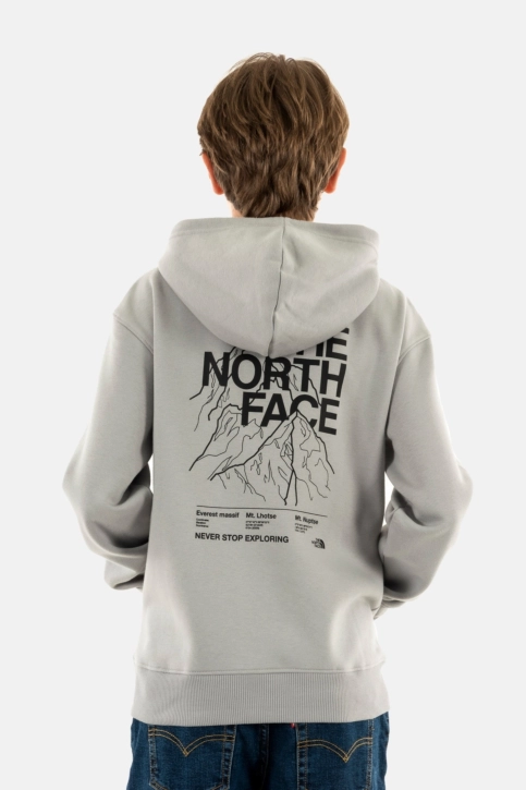 Sweat the north face mountain line a911 meld grey