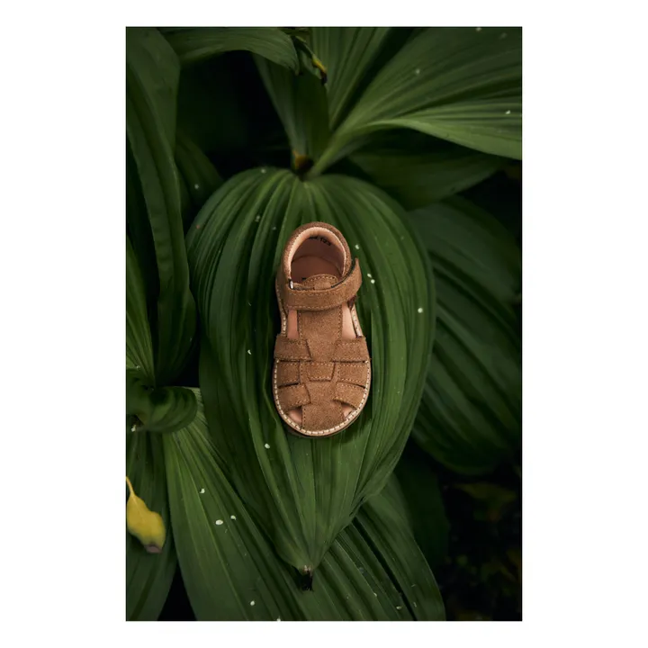 Petit Nord Sandales Scratchs Classic Suede | Marron