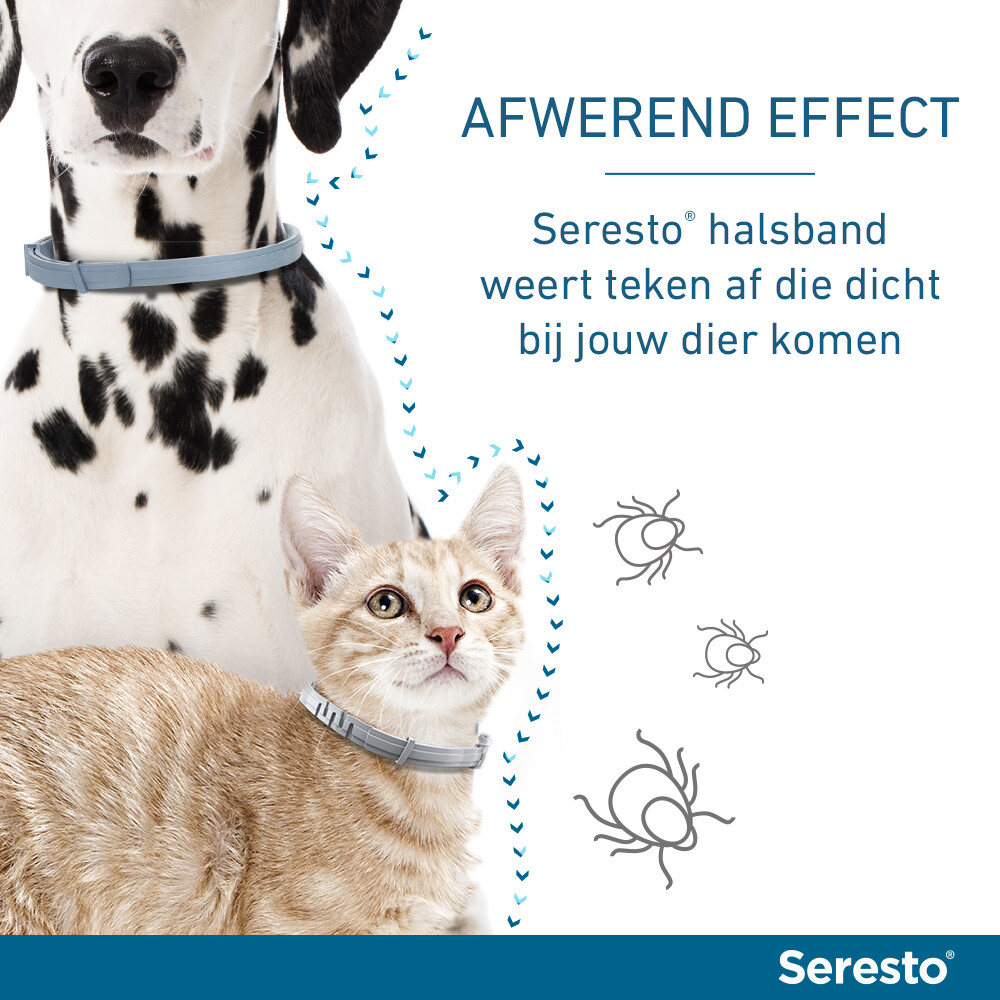 Seresto Anti Teken en Vlooien Halsband Hond Vanaf 8 kg 70 cm