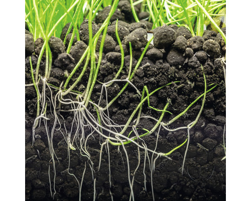 Aquariumbodem DENNERLE PLANTS Soil 2 - 3 mm, ca. 3 kg zwart